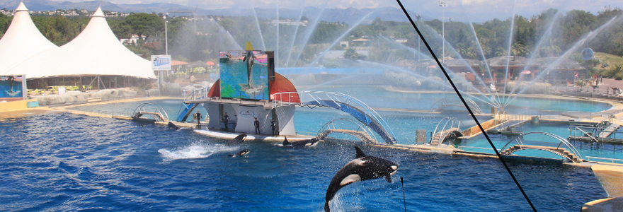 Parc aquatique marineland Antibes